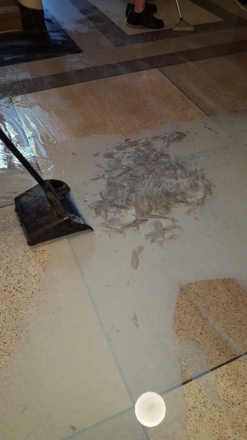 LVT Example 3